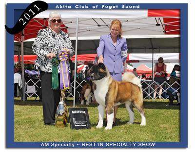 ACPS 2011 Best In Speciality Show